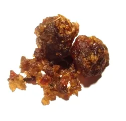 Guggulu (Commiphora wightii) — oleo-gum resin