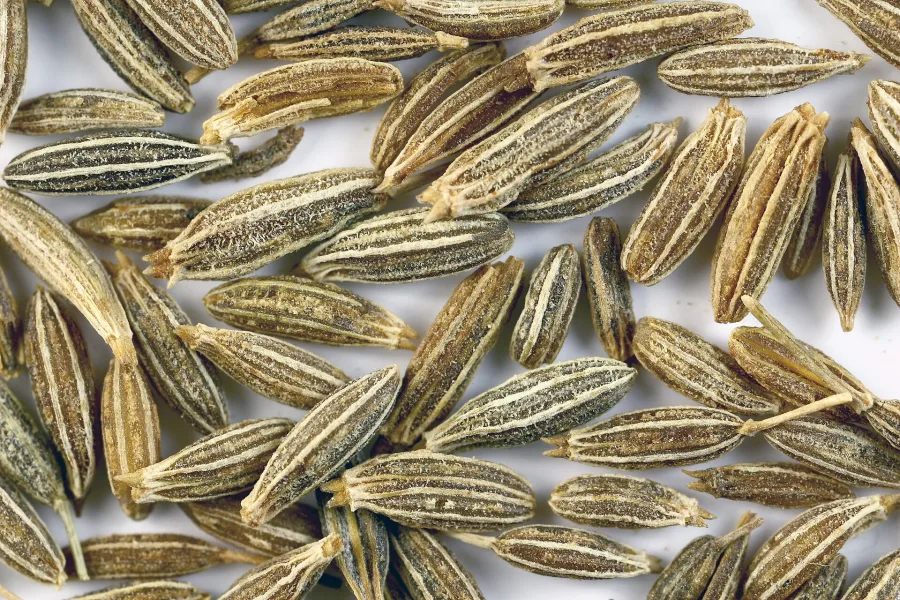 Jiraka (Cuminum cyminum) — fruit