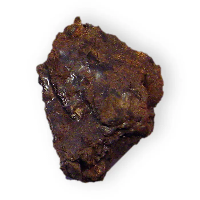 Shilajit (Asphaltum punjabianum) — purified exudate