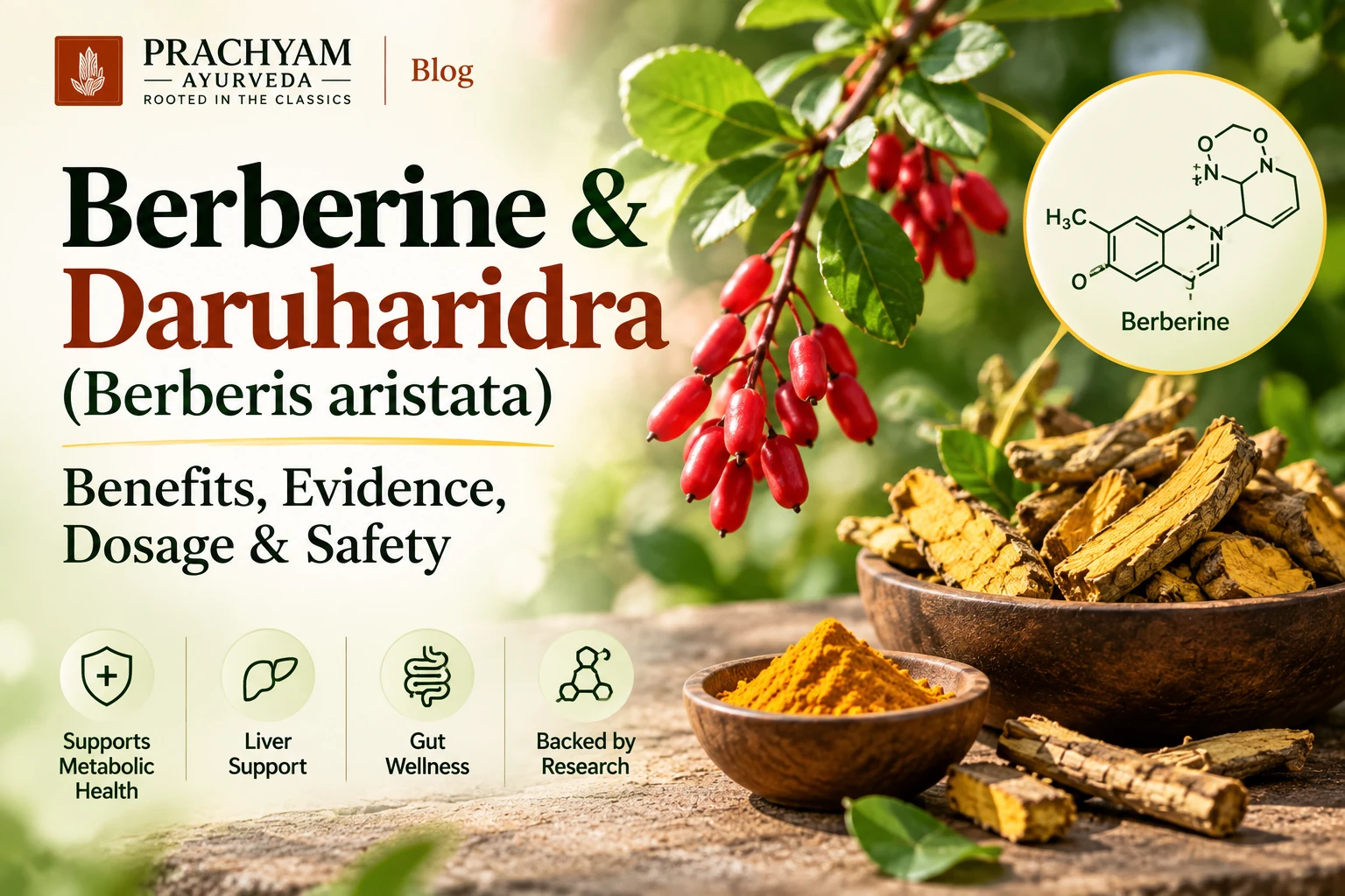 Berberine & Daruharidra (Berberis aristata): Benefits, Evidence, Dosage & Safety